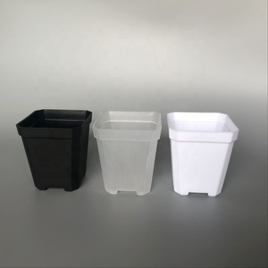 Mini vaso de plantas de plástico transparente, pequeno quadrado preto branco transparente para berçário, malha de mudas, plantador de suculentas