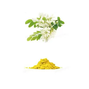 Natural Sophora Japonica Extract 98% Quercetin Powder