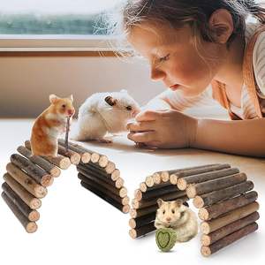 Hamster oyuncaklar gine domuz oyuncaklar Hamster tekerlek Hamster kafes aksesuarları küçük hayvan Molar çiğnemek oyuncaklar - Product Image 6