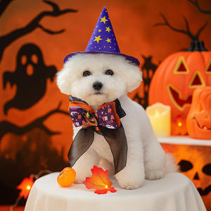 2025 Otoño e Invierno lindo cachorro gatito calabaza cabeza bufanda nuevo para perros impreso poliéster accesorios para mascotas para Halloween - Product Image 3
