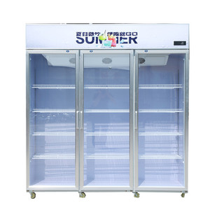 Réfrigérateur vertical de présentation en promotion, grande capacité, vitrine verticale populaire - Product Image 1