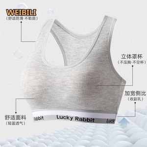 Ropa interior deportiva Conjunto de mujer <span class=keywords><strong>Sujetador</strong></span> push-up <span class=keywords><strong>sin</strong></span> aros Yoga Correr con almohadilla en el pecho Chaleco pequeño al por mayor - Product Image 5