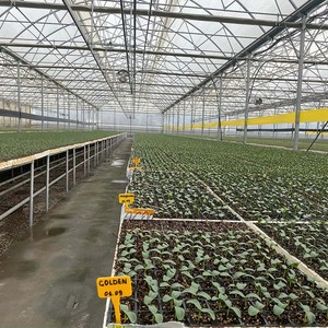 โรงเรือนสำเร็จรูปที่ติดตั้งง่ายสามารถใช้เป็นโรงเรือนพลาสติกสำหรับเพาะเห็ด - Product Image 6