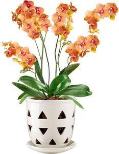 Planteur d'orchidée en céramique de pot d'orchidée d'évider de 6.5 "avec le planteur d'intérieur d'orchidée de soucoupe de trou pour la circulation d'air - Product Image 3