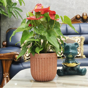 Bulk Mini Small Dining <strong>Table</strong> Colorful <strong>Plastic</strong> Flower <strong>Pot</strong> on the <strong>Table</strong> for Bedroom - Product Image 4