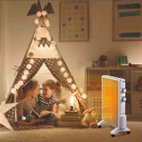Radiateur électrique portable en mica, panneau chauffant pour la maison et le bureau