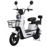 Vélo Électrique Paige 48V 350W 14 Pouces Style Moto Vintage avec Assistance au Pédalage pour Femmes Adultes, Vélo Électrique Urbain, Vente en Gros, Vélo-Taxi
