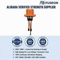 Kabel Harness PV Surya Tegangan Tinggi 1000V XLPE Konduktor Tembaga Tahan UV untuk Sistem Fotovoltaik OEM