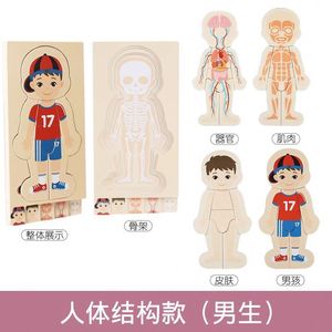 Rompecabezas Montessori de Madera para Aprender sobre las Partes del Cuerpo Humano, Anatomía, Esqueleto, Mi Cuerpo, para Niños Pequeños, Niños y Niñas - Product Image 5