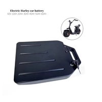 Paket Baterai Lithium OEM Kustom Kapasitas Tinggi 48V 60V 12ah 20Ah 25ah 30ah 40ah untuk Baterai Skuter Harley City Coco