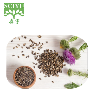 ミルクシスル抽出物粉末 80% シリマリン 30% シリビン シリバム・マリアナム抽出物粉末 ターメリック抽出物 - Product Image 4