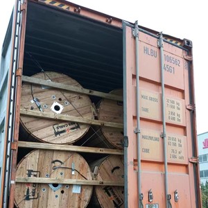 Conducteur nu en aluminium BS 215 ACSR 25/<span class=keywords><strong>50</strong></span>/100/150 mm 1 kV pour les lignes de distribution et de transmission d'énergie à Barbade - Product Image 6