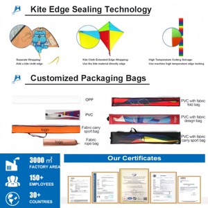 In-stock Instant Shipping Flat <strong>Kite</strong> Children Flying <strong>Kite</strong> Outdoor Toys Garden Toys For Kids Gift - Product Image 5