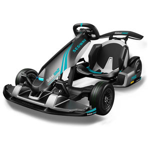 Go Kart Eléctrico de Alto Rendimiento Pro 2, Vehículo de Carreras para Exteriores para Adultos y Adolescentes con 4800W de Potencia y Velocidad Máxima de 43 km/h - Product Image 2