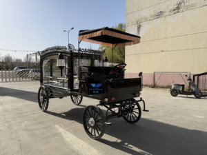 Carroza Fúnebre Eléctrica de Lujo HYS de Primera Categoría, Carroza Fúnebre con Caballos de Henan en Venta - Product Image 1