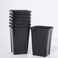 Petit Pot de fleur succulent en plastique carré noir classique bol nutritif épaissi pour la culture de plantes vertes tasse de semis
