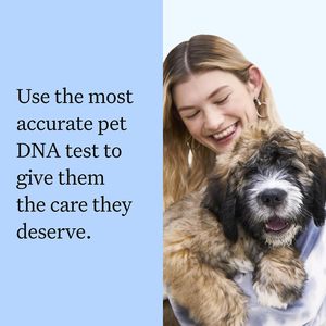 Kit de Prueba de ADN Canino para Detección de Raza, Prueba de Identificación de Raza Más Precisa, MDR1, Salud, Ascendencia, Comportamiento, Sensibilidad a Medicamentos - Product Image 2