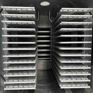Máquina Liofilizadora Comercial de Alta Resistencia para Frutas y Verduras, Acero Inoxidable 304, Capacidad de 500-1000 kg/h, Garantía de 4 Años, en Oferta - Product Image 2
