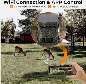 Wifi năng lượng mặt trời Máy ảnh ngoài trời xây dựng trong li pin Powered không dây tất cả-trong-một không thấm nước IP67 ống kính kép Đường Mòn săn bắn máy ảnh - Product Image 2