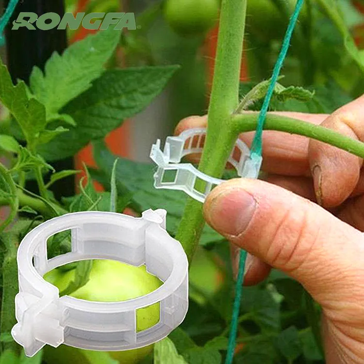 Clips de tomate ronds en plastique de couleur blanche de 24mm, crochets de verrouillage de plante pour vigne de tomate fixe