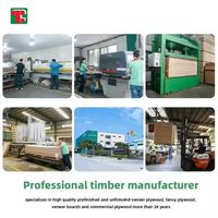 Tongli Interior Decorative Wood Wall Panel For Office Partition Design Furniture Door Applications And Wardrobe Manufacturing