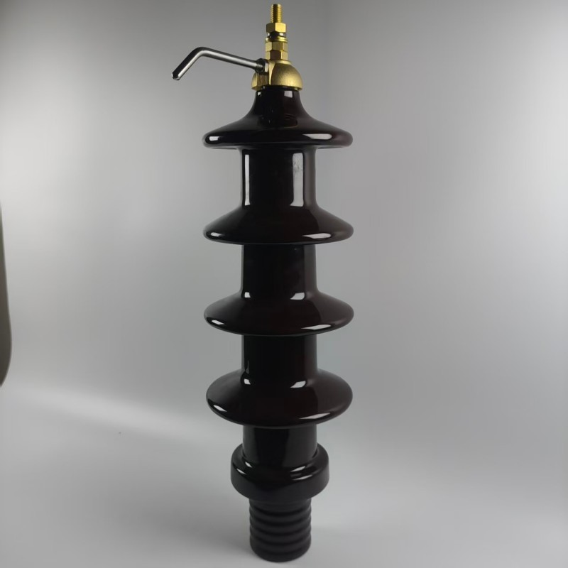DIN German Standard Type <strong>Bushing</strong> for 36kV-250A <strong>Transformer</strong> - High-quality Oil-immersed <strong>Transformer</strong> <strong>Bushing</strong>