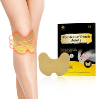 Patch Apaisant Jetable à Base de Plantes pour Douleurs Articulaires, Plâtre pour Genoux Endoloris, Soulagement des Douleurs Musculaires et des Blessures Sportives, Soin des Articulations