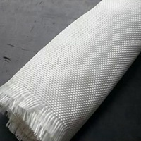 Tejido de Refuerzo Geotextil de Alta Tenacidad con Hilos de PET y PP para Relleno de Muros de Contención