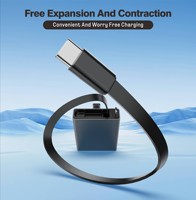 Cable de Datos Tipo-C a Tipo-C Retráctil con Logotipo Personalizado, Carcasa de Aluminio y PVC, 5A PD 60W, Conductor de Cobre Puro, para Auriculares de Computadora IOS