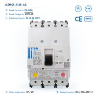 Disjoncteur magnéto-thermique Eaton NZM 125A 3 pôles 36kA 400V AC 50/60Hz triphasé à boîtier moulé pour la protection des moteurs