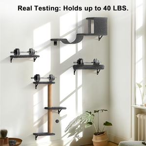 جدار القط الحديث 4 في 1 ، جدار تسلق خشبي ، جدار جاف مستقر آمن للقطط - Product Image 2