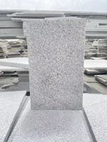 Losas Grandes de Granito Gris Moderno, Acabado Flameado y Pulido, para Revestimiento de Paredes Exteriores y Pavimento