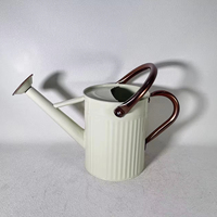 Arrosoir en acier galvanisé Jiangsu 3,8 L, robuste, vintage, pour plantes d'intérieur/extérieur