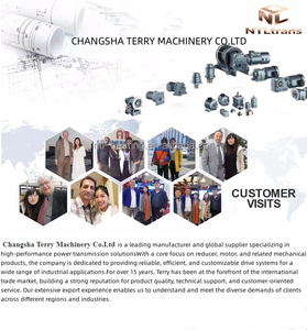 Motor Reductor Planetario Miniatura de Alta Precisión de 16 mm, 15 W, 12 V, Relación de Reducción 10:1, para Cepillos de Dientes Eléctricos y Robots de Limpieza - Product Image 5