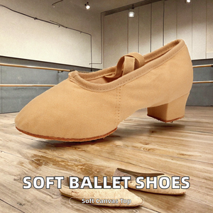 Zapatillas de Ballet para Niñas con Parte Superior de Lona de Alta Elasticidad, Forro de Algodón y Suela de Cuero Genuino para Yoga y Danza - Product Image 2