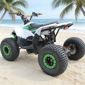 Kart <span class=keywords><strong>électrique</strong></span> tout-terrain 48V 500W 20AH pour plage, montagne et route, vitesse maximale de 60 km/h, capacité de charge de 200 kg - Product Image 4