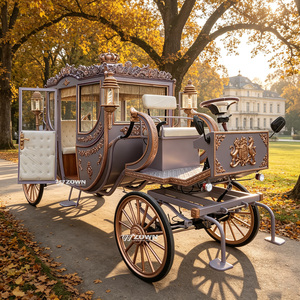 Charrette royale européenne noble à chevaux, artisanale et ornée, pour cérémonie de mariage, site historique, défilé - Product Image 1