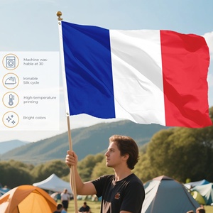 Hot Sale Fast Delivery 90x150cm Custom Flag France National Flag French Drapeau France Tricolore 100D Polyester Grommets - Product Image 4