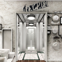 Ascensore Domestico Idraulico a Risparmio Energetico per Villa, Struttura in Acciaio Inox Verniciato a Polvere, Moderno per Appartamenti e Hotel