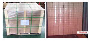 Púas <span class=keywords><strong>Antipájaros</strong></span> Ecológicas de Acero Inoxidable y PP en Oferta - Product Image 4