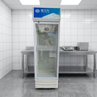Réfrigérateur Commercial Vertical pour Bière 300L, Économe en Énergie, Porte Vitrée, Sans Givre, Température Numérique