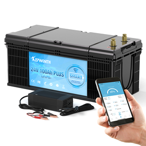Kepworth EU Stock <b>24V</b> 100Ah Lithium Marine <b>Battery</b> with 100A BMS Rechargeable Lithium Iron Phosphate <b>Battery</b> 25.6V 100Ah - Product Image 1