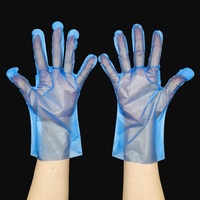 Gants en PE imperméables pour le nettoyage domestique, résistants à l'huile, ambidextres, texture givrée, gants jetables en TPE bleus pour la vaisselle
