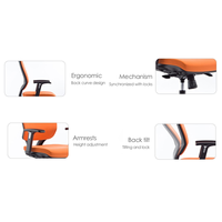 Chaise de bureau ergonomique à dossier en maille respirante, haute capacité de charge, réglable, pour le personnel de bureau