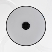 2030 110V 220V 42 pouces ventilateur de plafond à pales cachées avec haut-parleur