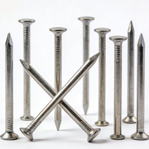 ตะปูเหล็กเส้นยาว ยี่ห้อคอมมอน คิกเกอร์ ขนาด 100 มม. 120 มม. 150 มม. น้ำหนัก 500 กรัม 600 กรัม บรรจุภัณฑ์แบบแพ็ค  สินค้าขายดีในตลาดแอฟริกา เคนยา - Product Image 1