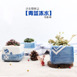 [Flower Vessel Addict] Pots à succulentes peints à la main de couleur bleu ciel, série Girlish Feel - Eau glacée bleue, vente directe - Product Image 3