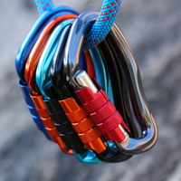 Mousqueton d'escalade robuste en alliage d'aluminium, personnalisable, pour la descente en rappel, la laisse pour chien et l'équipement de sécurité - Vente en gros