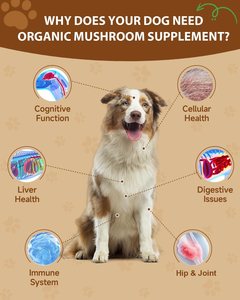 Complément alimentaire 9 en 1 pour chiens - Champignon Turkey Tail pour chiens - avec Turkey Tail, Reishi, Lions Mane - Product Image 2