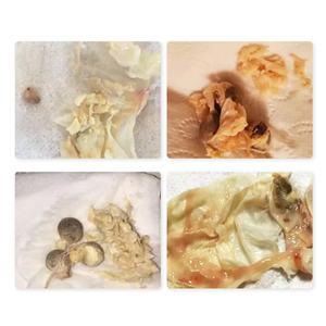 Perlas Yoni Herbales al por Mayor de Chinaherbs, Perlas de Limpieza, Tampones de Limpieza, Perlas Detox Yoni, Punto de Limpieza Vaginal para la Fertilidad - Product Image 2